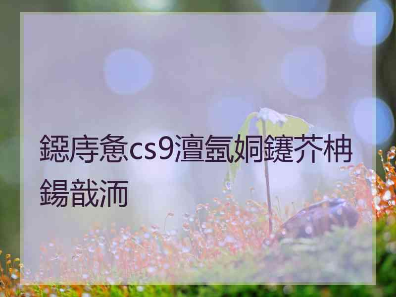 鐚庤惫cs9澶氬姛鑳芥柟鍚戠洏