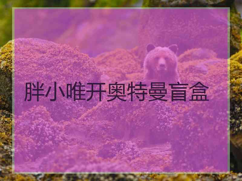 胖小唯开奥特曼盲盒