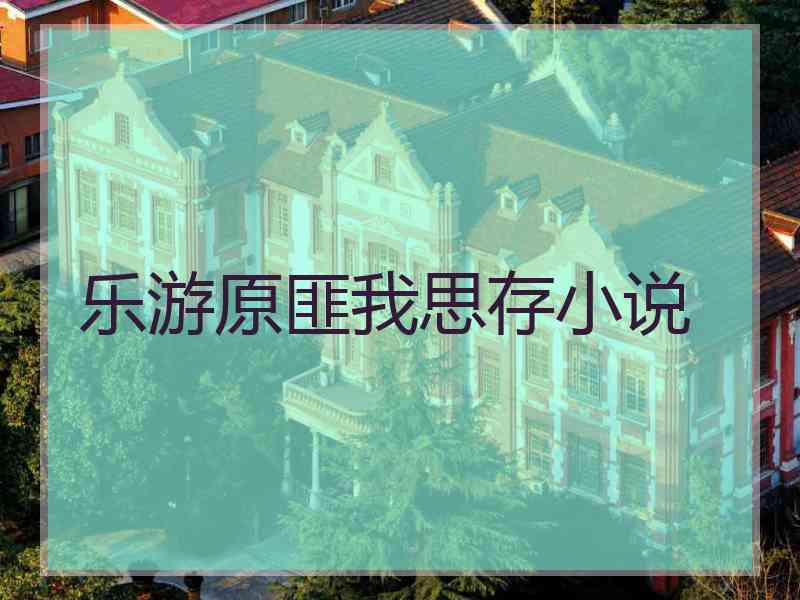 乐游原匪我思存小说