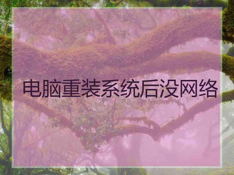 电脑重装系统后没网络