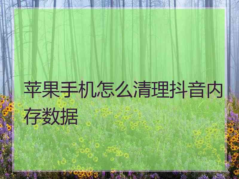 苹果手机怎么清理抖音内存数据