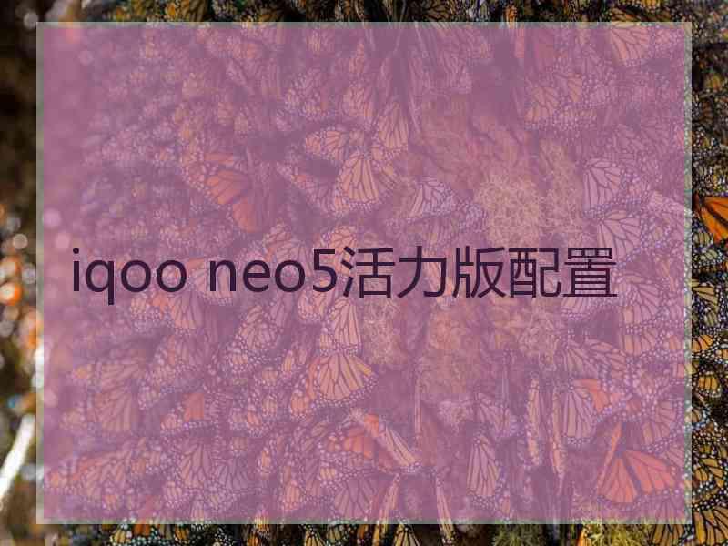 iqoo neo5活力版配置