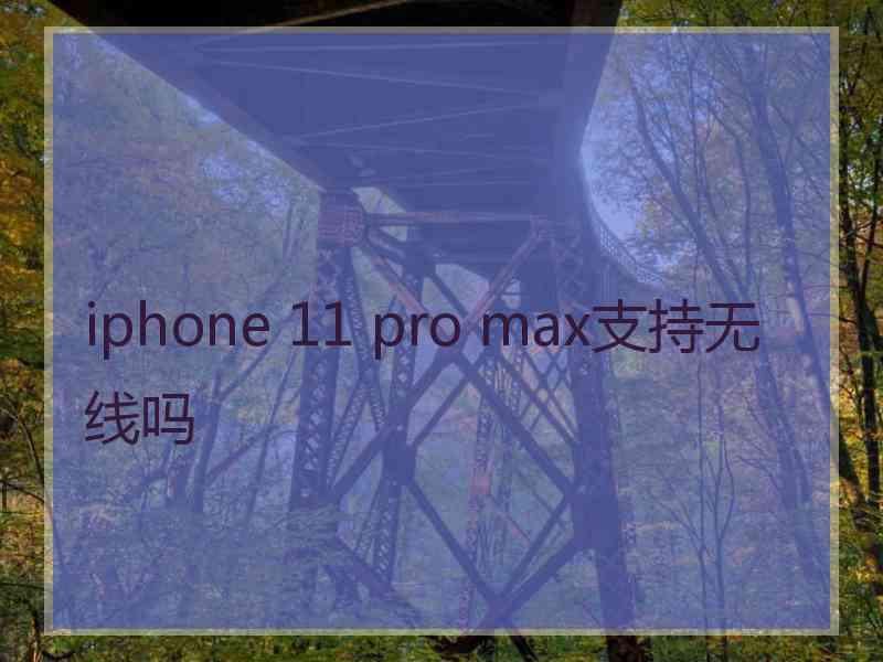 iphone 11 pro max支持无线吗