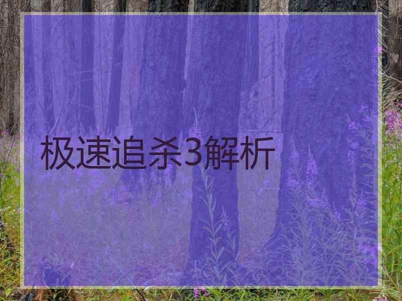 极速追杀3解析