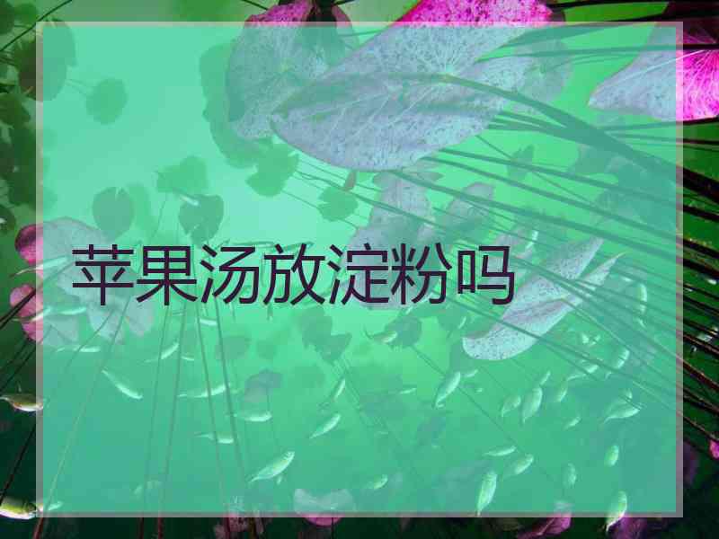 苹果汤放淀粉吗