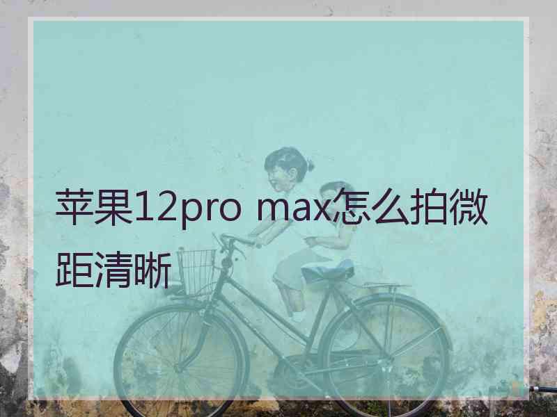 苹果12pro max怎么拍微距清晰