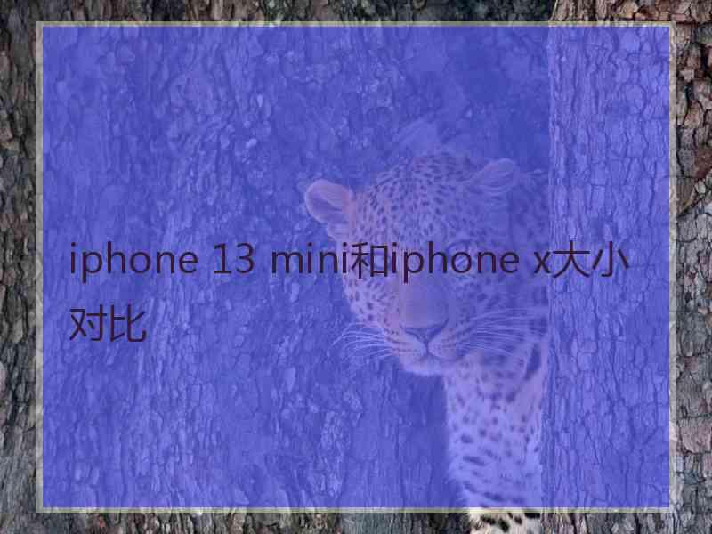 iphone 13 mini和iphone x大小对比