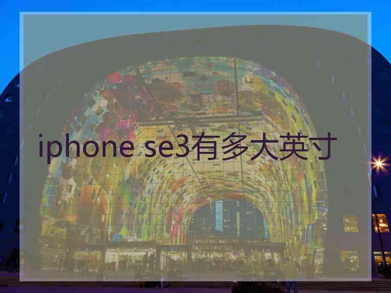 iphone se3有多大英寸