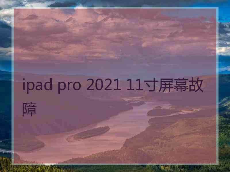 ipad pro 2021 11寸屏幕故障