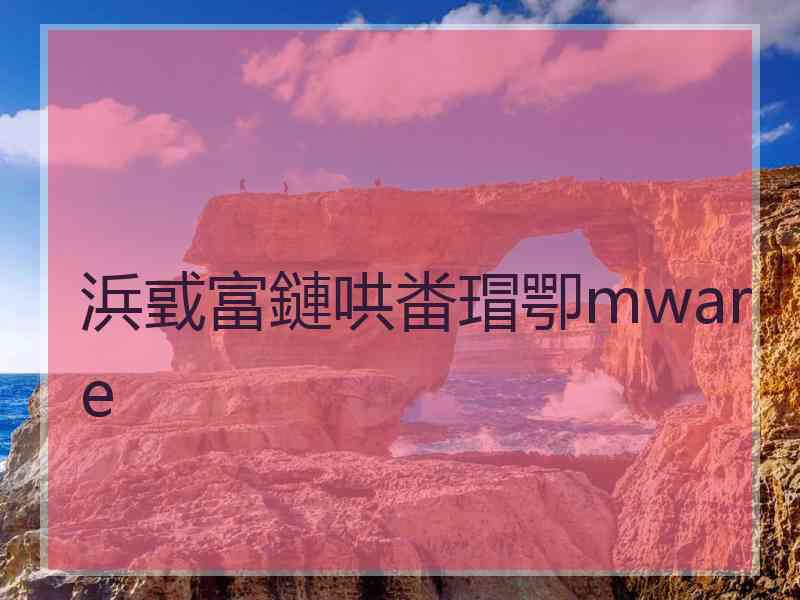 浜戜富鏈哄畨瑁卾mware