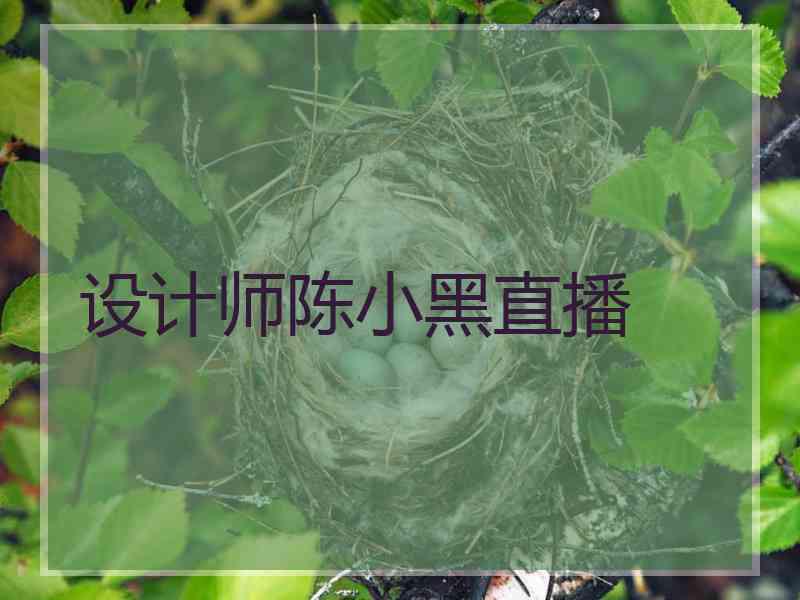 设计师陈小黑直播