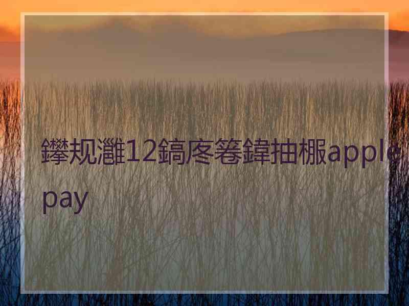 鑻规灉12鎬庝箞鍏抽棴applepay