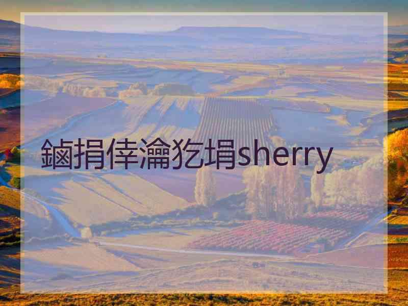 鏀捐倖瀹犵埍sherry