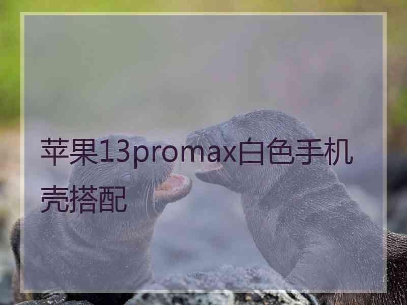 苹果13promax白色手机壳搭配