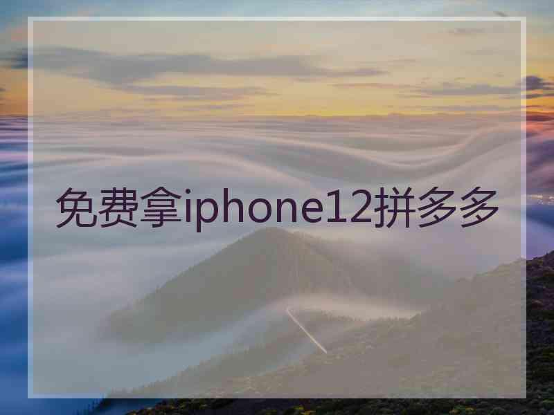 免费拿iphone12拼多多