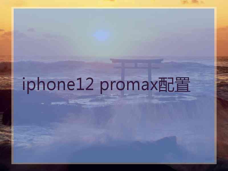 iphone12 promax配置