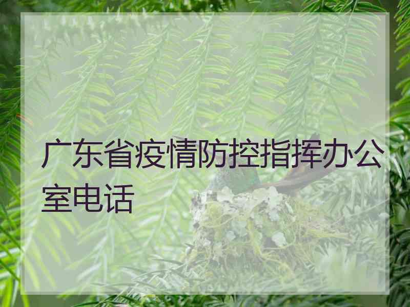 广东省疫情防控指挥办公室电话