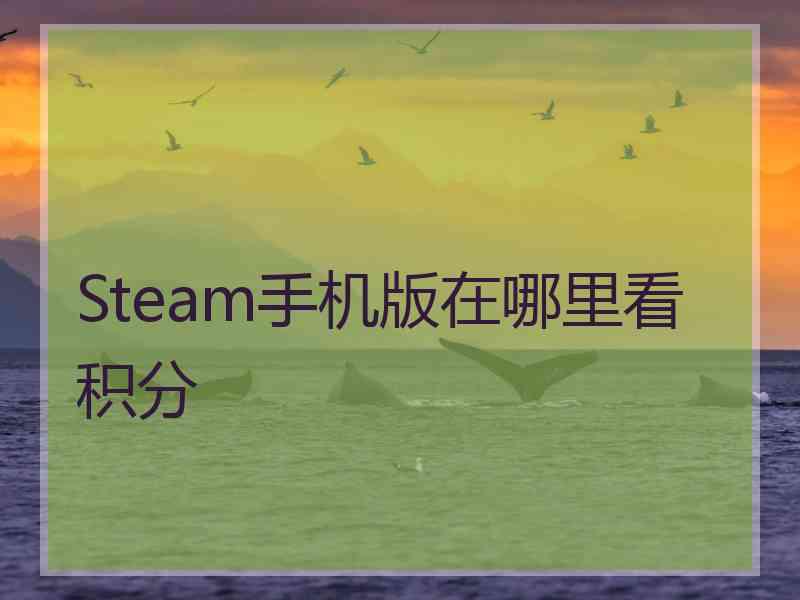 Steam手机版在哪里看积分