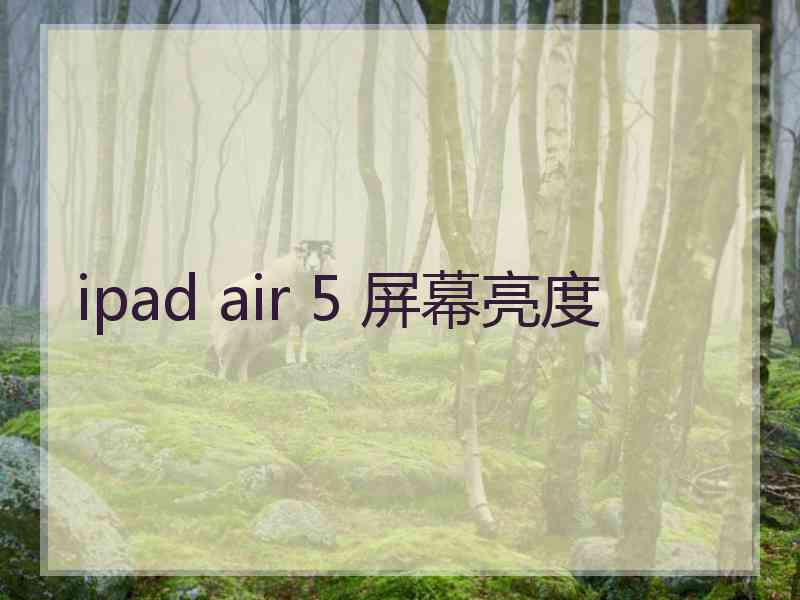 ipad air 5 屏幕亮度