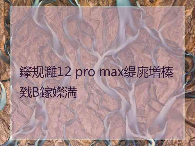 鑻规灉12 pro max缇庣増榛戣В鎵嬫満