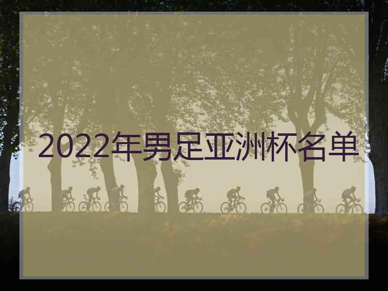 2022年男足亚洲杯名单