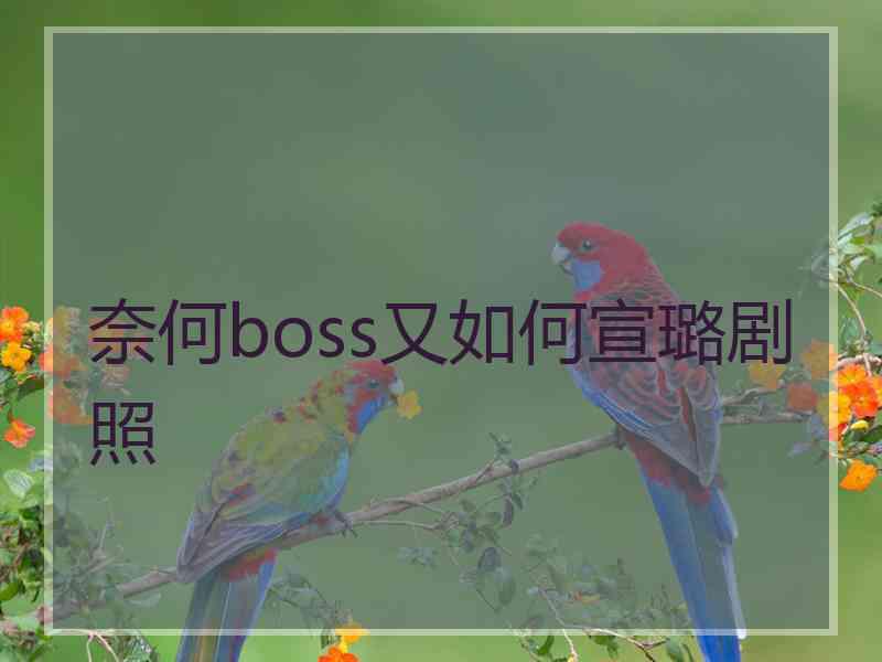 奈何boss又如何宣璐剧照