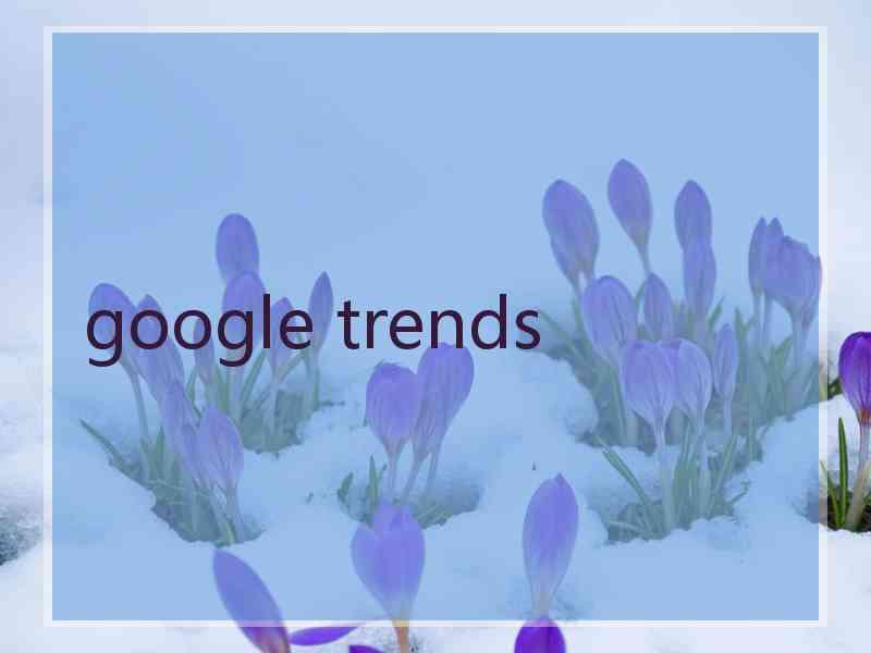 google trends