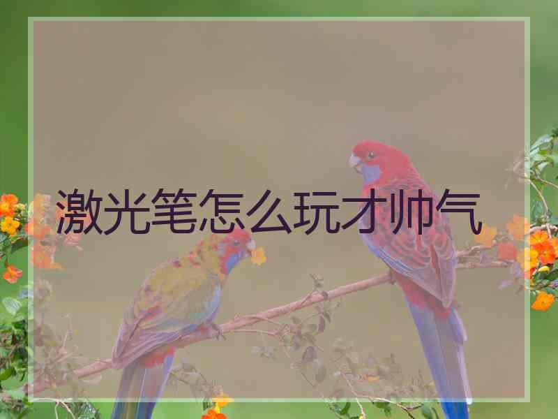 激光笔怎么玩才帅气