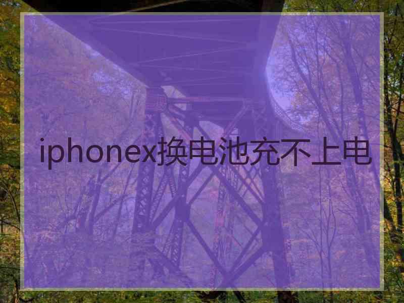 iphonex换电池充不上电