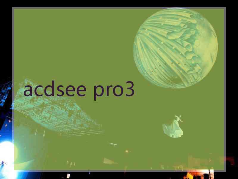 acdsee pro3