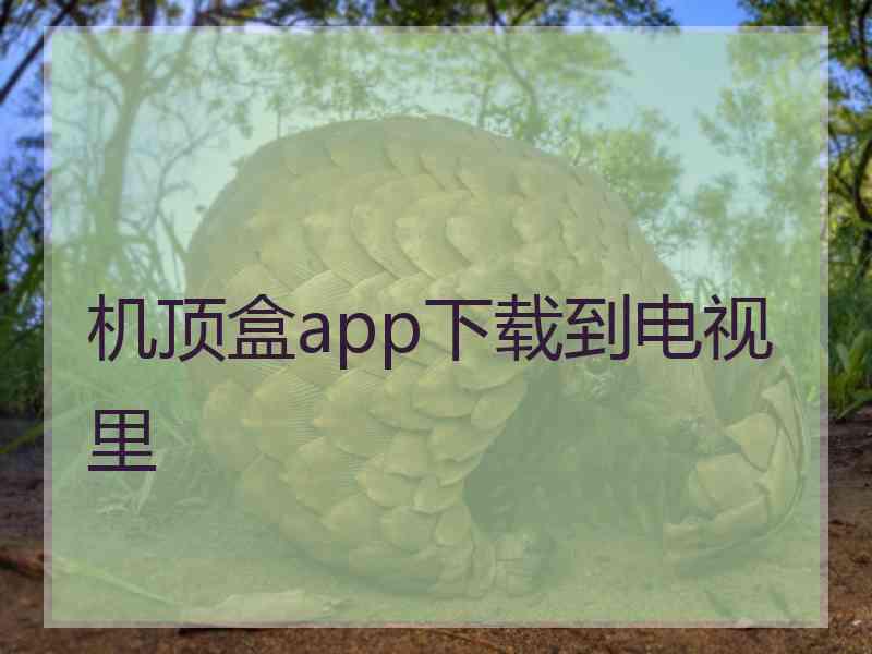 机顶盒app下载到电视里