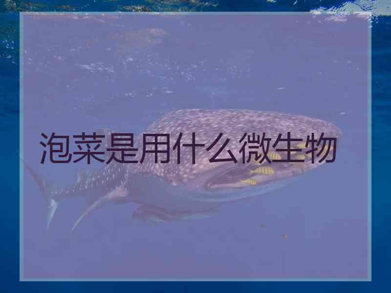 泡菜是用什么微生物