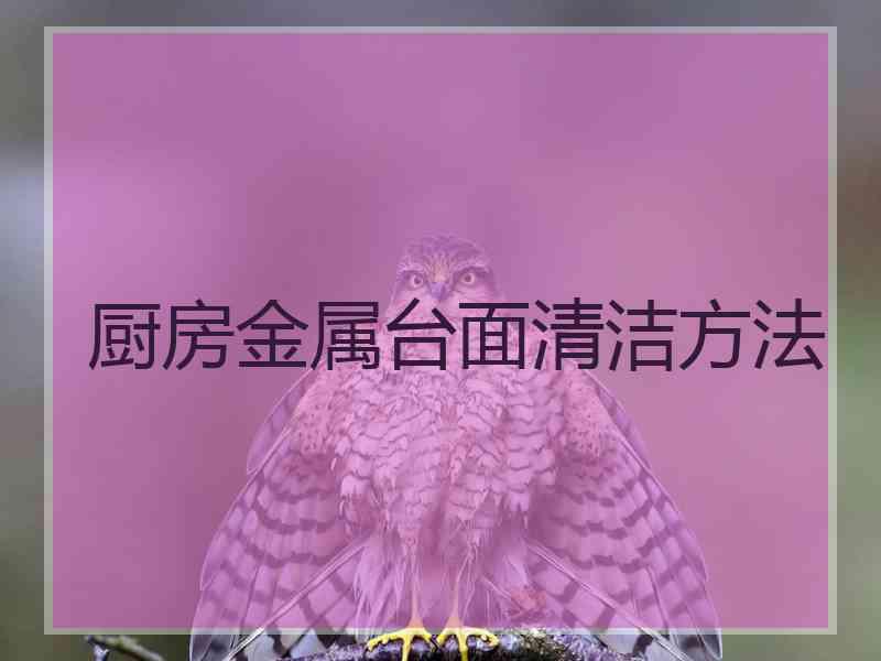 厨房金属台面清洁方法