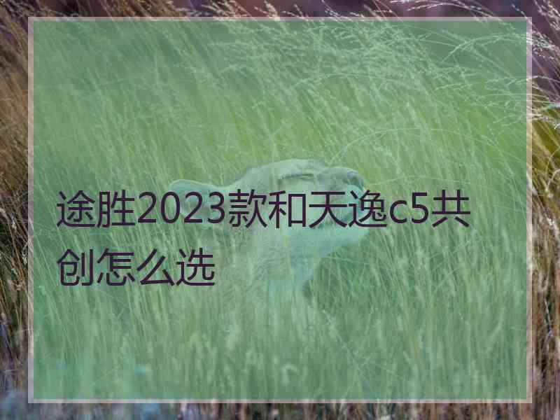 途胜2023款和天逸c5共创怎么选