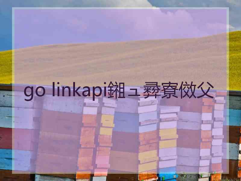 go linkapi鎺ュ彛寮傚父