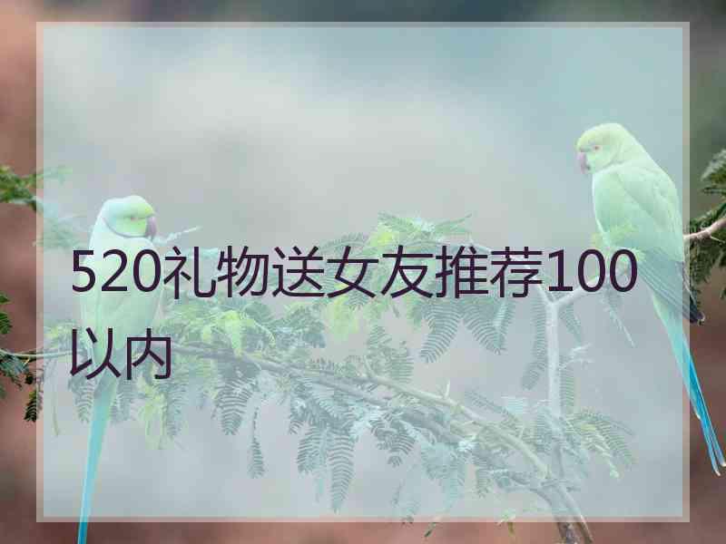 520礼物送女友推荐100以内