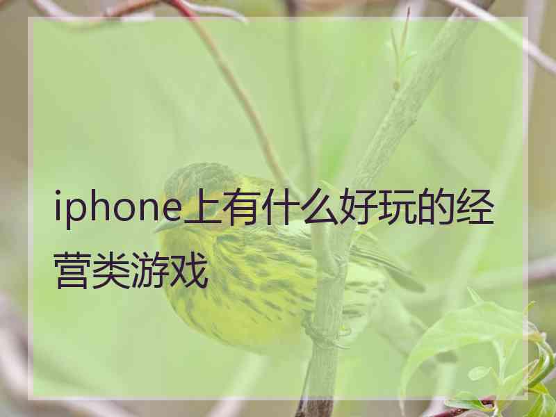 iphone上有什么好玩的经营类游戏