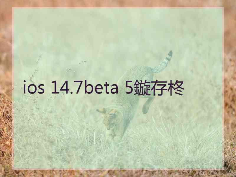 ios 14.7beta 5鏇存柊