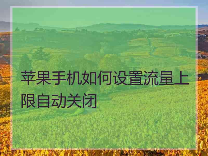 苹果手机如何设置流量上限自动关闭