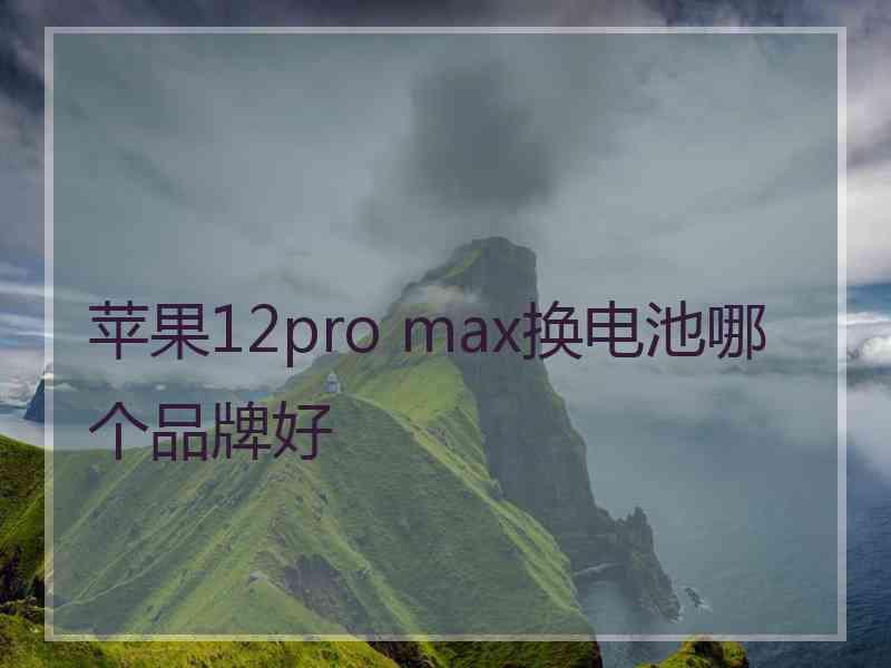 苹果12pro max换电池哪个品牌好