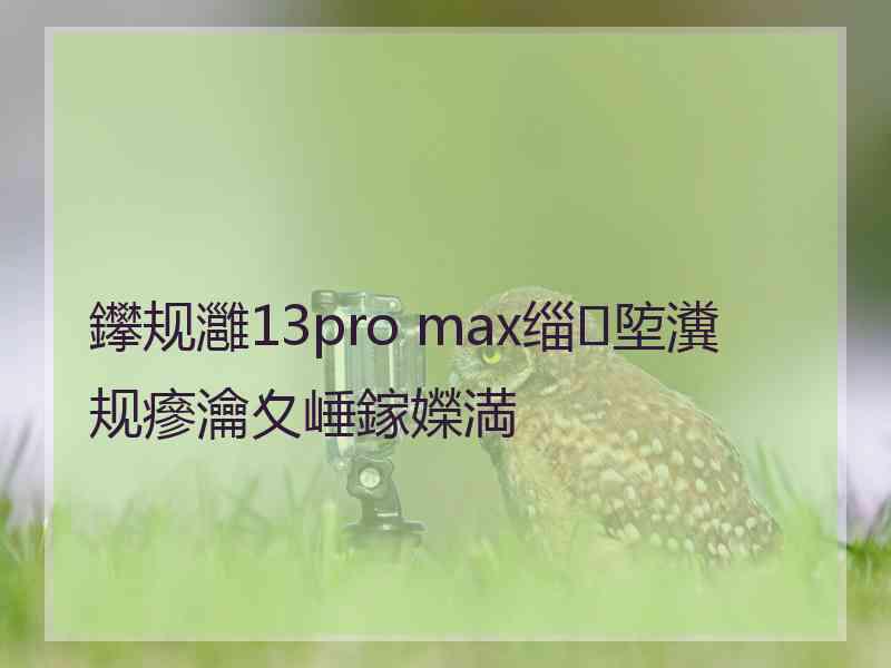 鑻规灉13pro max缁埅瀵规瘮瀹夊崜鎵嬫満