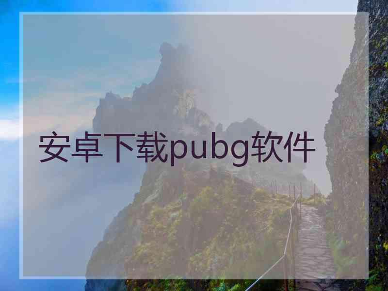 安卓下载pubg软件