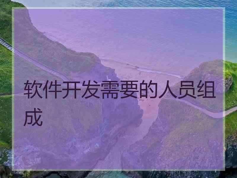 软件开发需要的人员组成