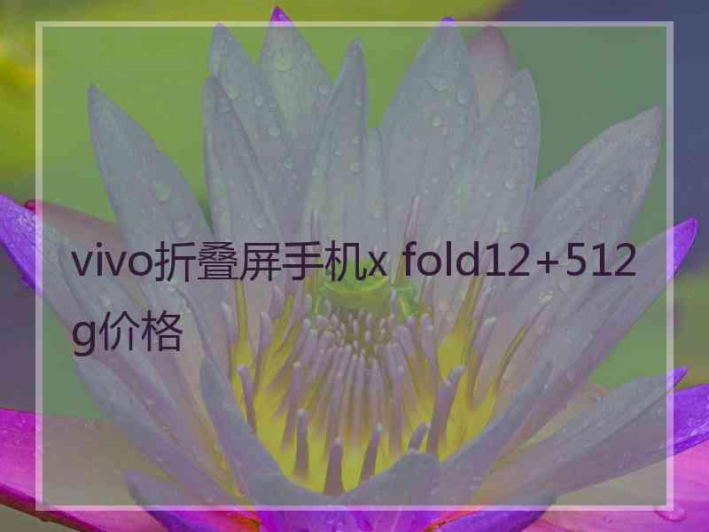 vivo折叠屏手机x fold12+512g价格