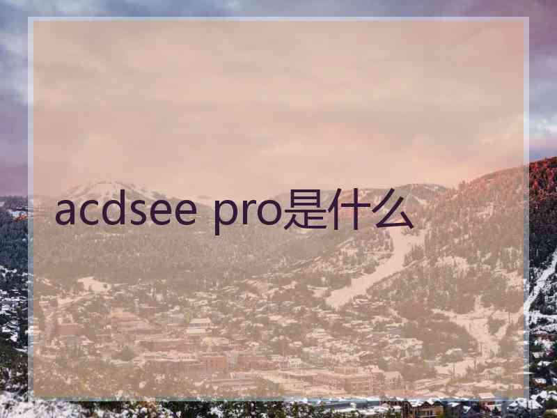 acdsee pro是什么