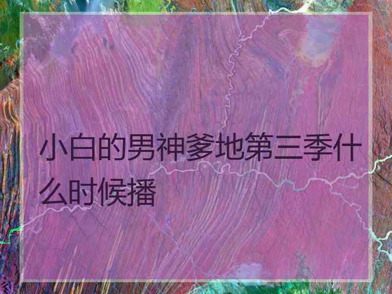 小白的男神爹地第三季什么时候播