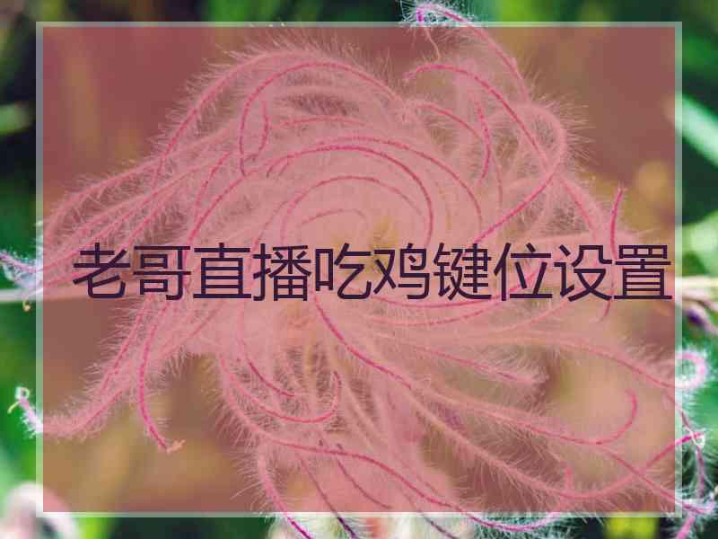 老哥直播吃鸡键位设置