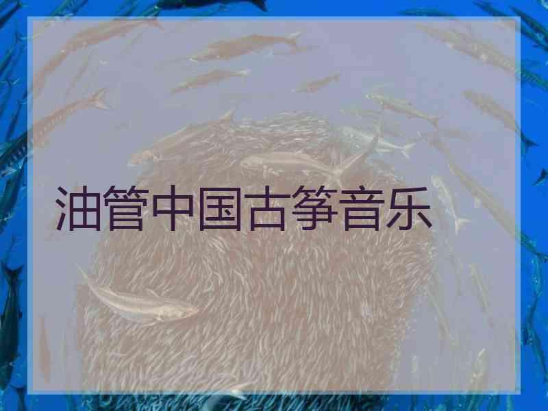 油管中国古筝音乐