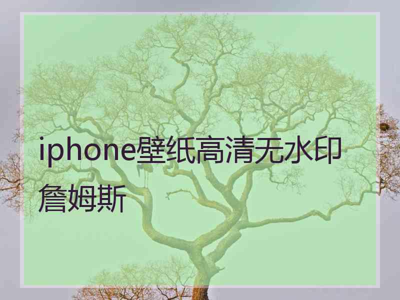 iphone壁纸高清无水印詹姆斯