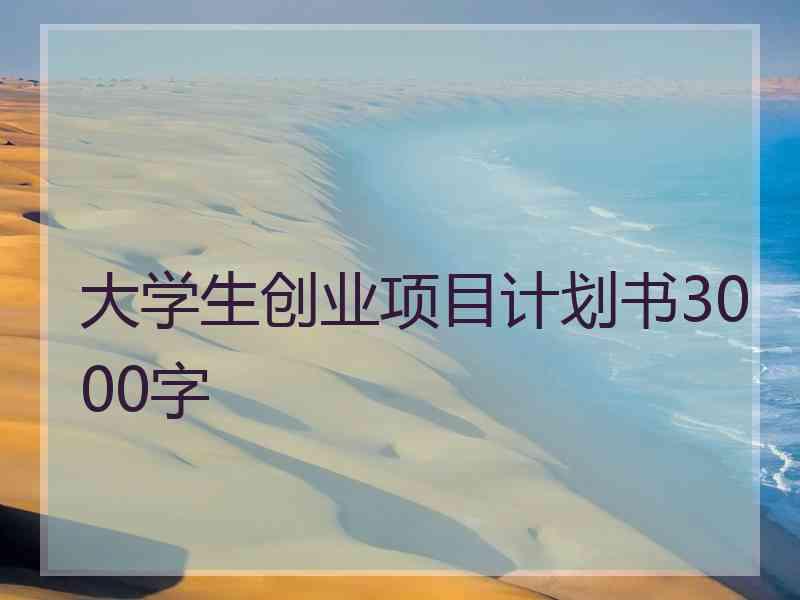 大学生创业项目计划书3000字